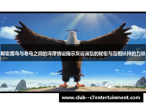 解密魔鸟与老马之间的深厚情谊揭示友谊背后的秘密与互相扶持的力量