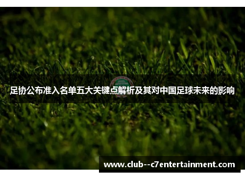 足协公布准入名单五大关键点解析及其对中国足球未来的影响 足协公布准入名单五大关键点解析及其对中国足球未来的影响